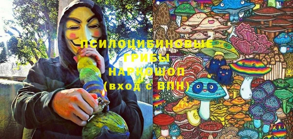 бутират Арсеньев