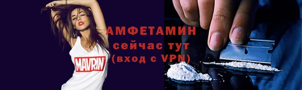прущие грибы Армянск