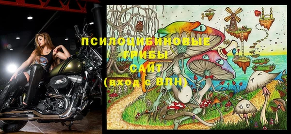 прущие грибы Армянск