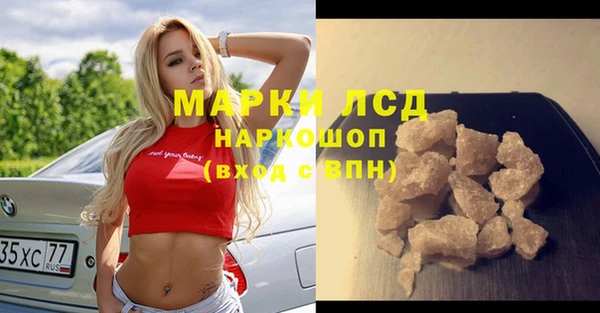 прущие грибы Армянск